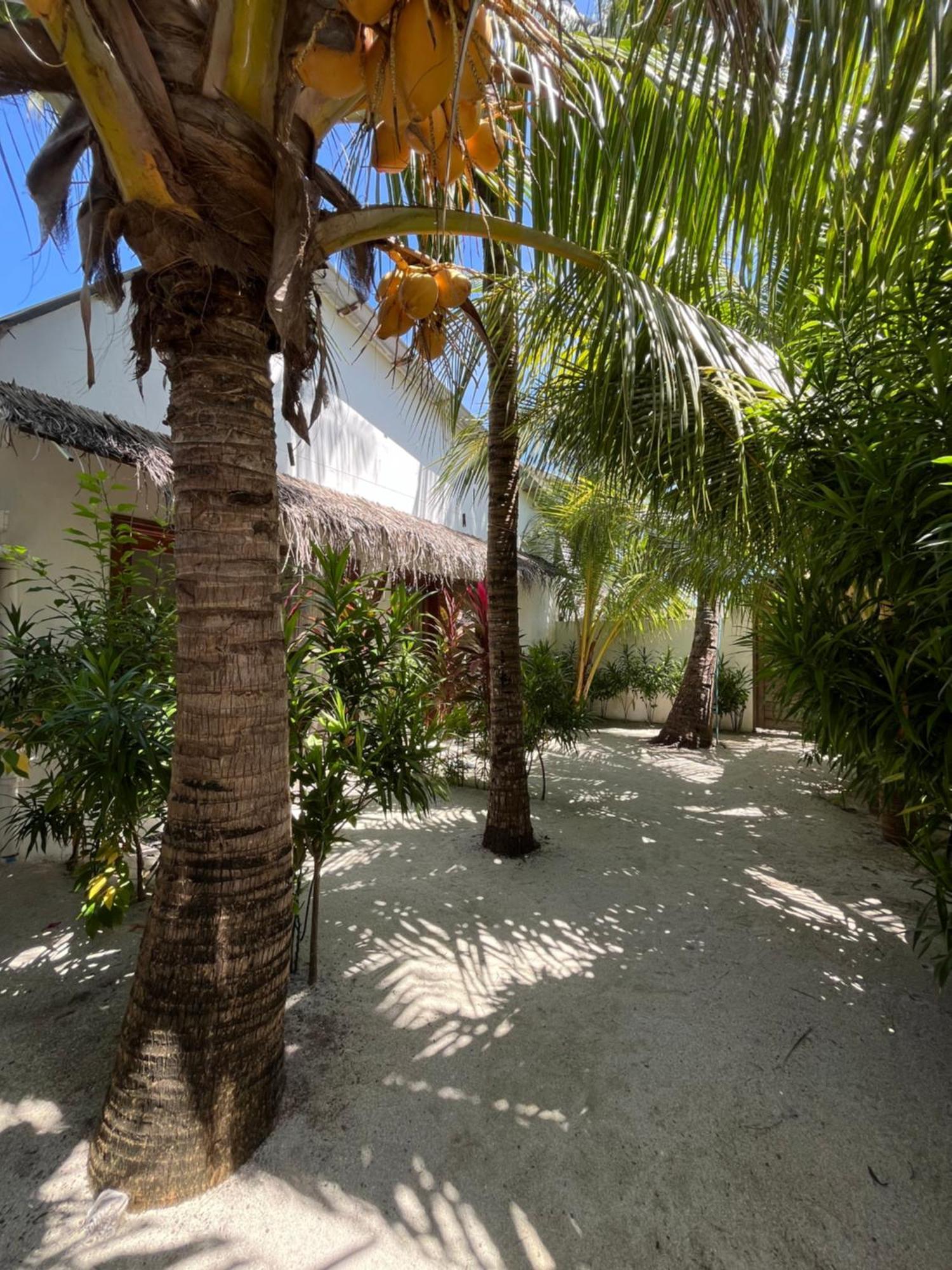 Villa Kudi Maldives Guest House Thulusdhoo Exterior foto